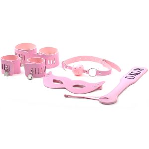 5 PCS  Pink Color SM KIT